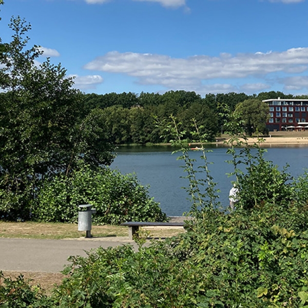 Ufer am Allersee